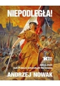 Niepodległa 1864 - 1924 jak Polacy odzyskali Ojczyznę