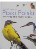 Ptaki Polski. Encyklopedia ilustrowana + płyta CD