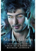 Kroniki Bane'a