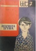 Rozbita szyba