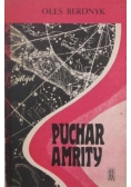 Puchar Amrity