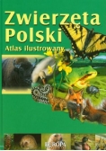 Zwierzęta Polski Atlas ilustrowany