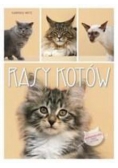 Rasy kotów