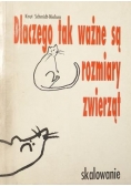 Dlaczego tak ważne są rozmiary zwierząt