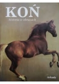 Koń historia w obrazach