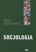 Socjologia Analiza społeczeństwa