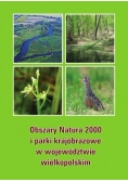 Obszary Natury 2000 i parki krajobrazowe w województwie  wielkopolski