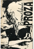 Schulz Proza