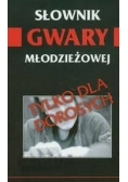 Słownik gwary młodzieżowej