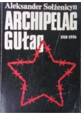 Archipelag Gułag 1918-1956 tom  II