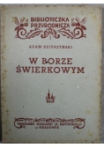 W borze świerkowym 1946 r.