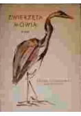 Zwierzęta mówią. Ptaki