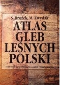 Atlas gleb leśnych Polski