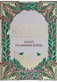 Dzieje oręża polskiego w epoce napoleońskiej Reprint z 1912 r.