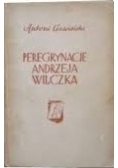 Peregrynacje Andrzeja Wilczka, 1937 r.