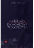 Kalkulacja ekonomiczna w socjalizmie