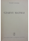 Czarny Matwij