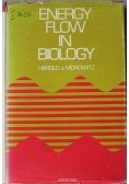 Energy Flow in Biology