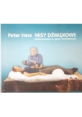 Misy dźwiękowe. Zastosowanie w życiu codziennym