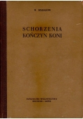 Schorzenia kończyn koni