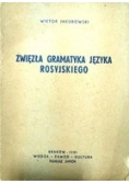 Zwięzła gramatyka Języka Rosyjskiego