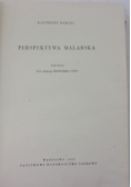 Perspektywa malarska