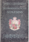 Die Kirchengeschichte Schlesiens wyd. 1908