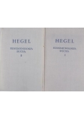 Fenomenologia ducha, I-II tom