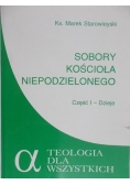 Sobory kościoła niepodzielnego