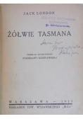 Żółwie Tasmana, 1927 r.