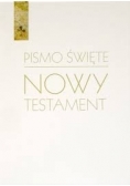 Pismo święte. NT