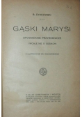 Gąski Marysi, ok. 1918r.