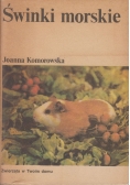 Świnki morskie