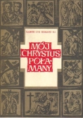 Mój Chrystus połamany