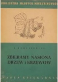 Zbieramy nasiona drzew i krzewów