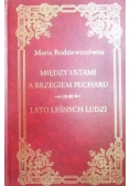 Kariera Nikodema Dyzmy