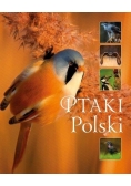 Ptaki Polski