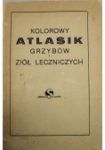 Kolorowy atlasik grzybów i ziół leczniczych