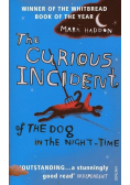 Curious Incident of Dog in Night-Time