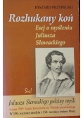 Rozhukany koń