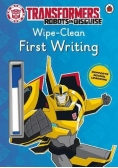 Transformers Robots in Disguise