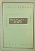 Buraczane liście, 1950 r.