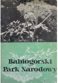 Babiogórski Park Narodowy