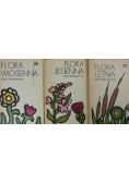 Flora wiosenna/ Flora jesienna/ Flora jesienna