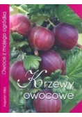 Krzewy owocowe