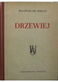 Drzewiej 1950 r