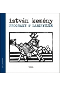 Programy w labiryncie
