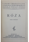 Róża, 1929 r.