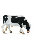 Byk Friesian