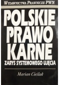 Polskie prawo karne. Zarys systemowego ujęcia